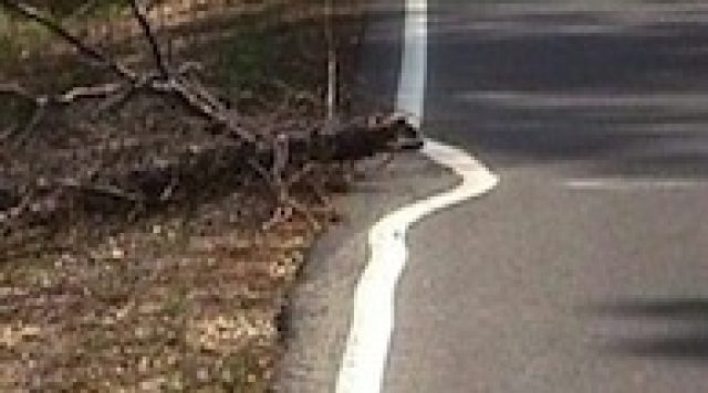 ItsNotMyJob