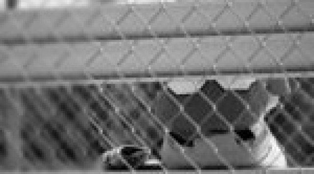 Young Baseball Player Waiting on Sidelines
