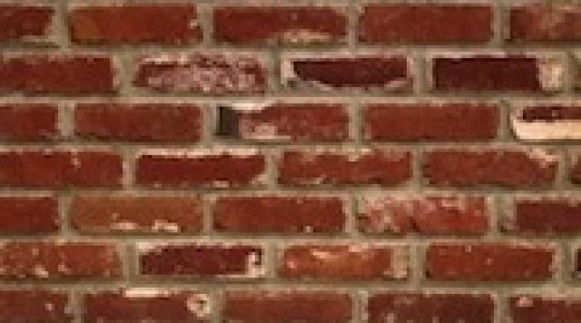 dont see the wall