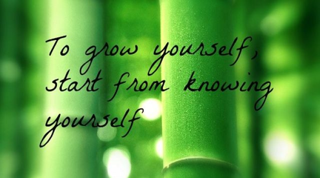 A green bamboo background with the words "To grow yourself, start from knowing yourself" in black print