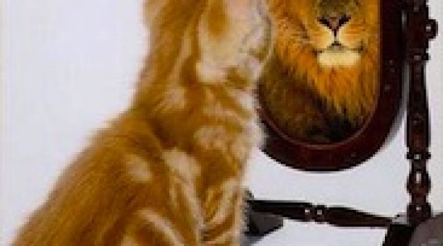 living with power of self knowledge