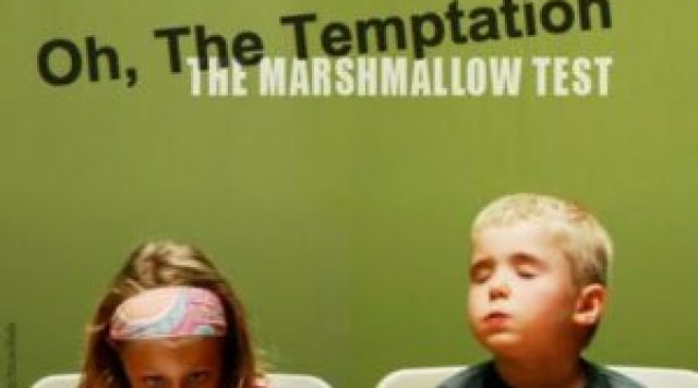 marshmallow-test-1-300x225-1