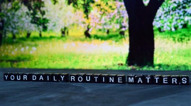 An outdoor background with grass, trees, and flowers. In the foreground, black blocks with white letters spell out "daily routine matters"